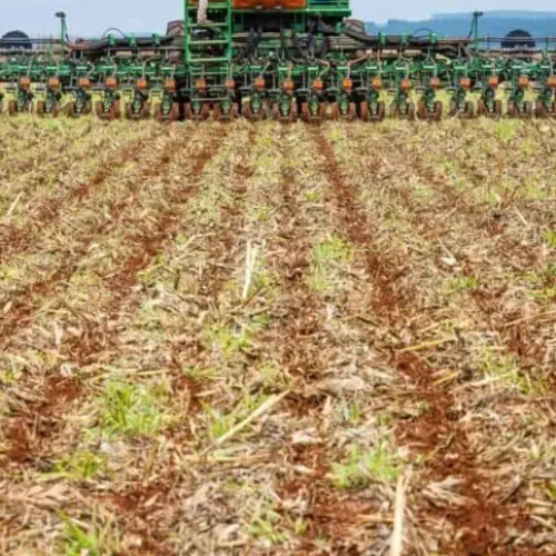 Plantio de soja no Brasil alcança 26% da área prevista para a safra 2026/2027