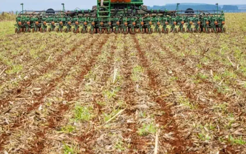Plantio de soja no Brasil alcança 26% da área prevista para a safra 2026/2027